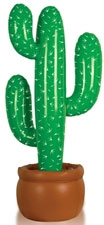 inflatable cactus